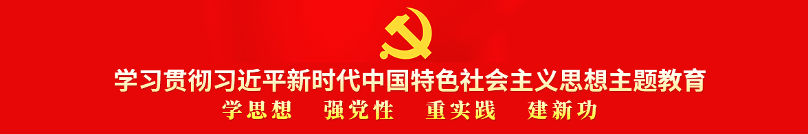 學(xué)習(xí)貫徹習(xí)近平新時(shí)代中國(guó)特色社會(huì)主義思想主題教育